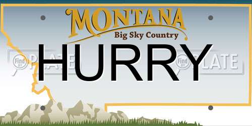 HURRY Montana License Plate