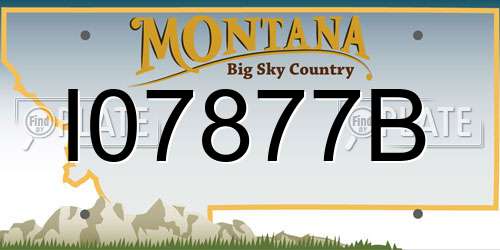 I07877B Montana License Plate
