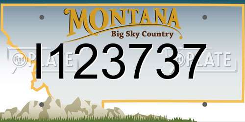 I123737 Montana License Plate