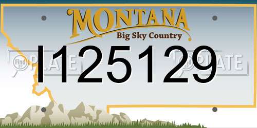 I125129 Montana License Plate