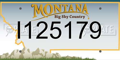 I125179 Montana License Plate