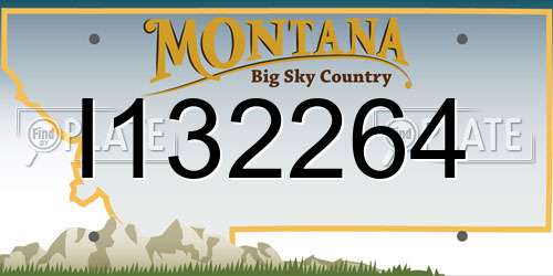 I132264 Montana License Plate
