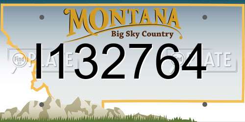 I132764 Montana License Plate