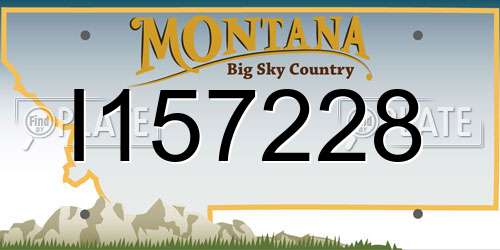 I157228 Montana License Plate