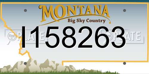 I158263 Montana License Plate