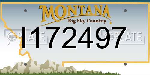 I172497 Montana License Plate