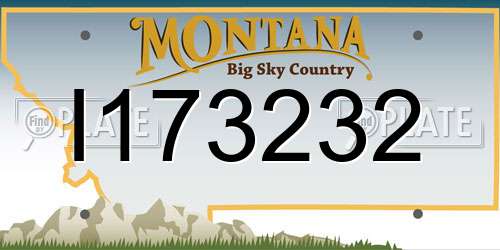 I173232 Montana License Plate
