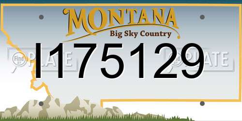 I175129 Montana License Plate