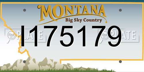 I175179 Montana License Plate