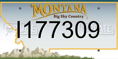 I177309 Montana License Plate