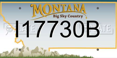 I17730B Montana License Plate