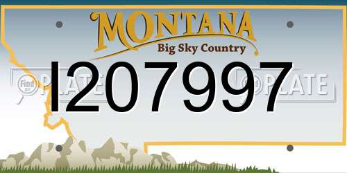 I207997 Montana License Plate