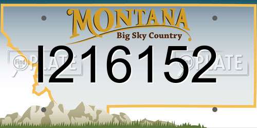 I216152 Montana License Plate