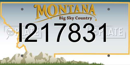 I217831 Montana License Plate