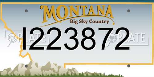 I223872 Montana License Plate