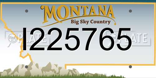 I225765 Montana License Plate