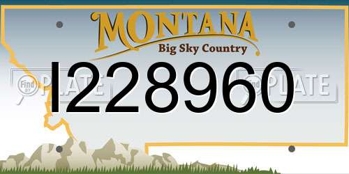I228960 Montana License Plate