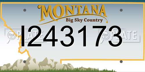 I243173 Montana License Plate