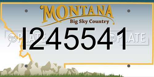 I245541 Montana License Plate