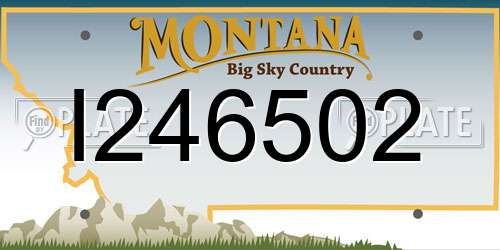 I246502 Montana License Plate