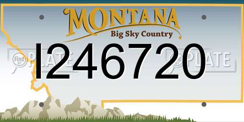 I246720 Montana License Plate