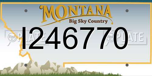 I246770 Montana License Plate