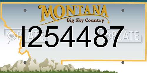 I254487 Montana License Plate