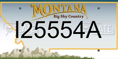 I25554A Montana License Plate