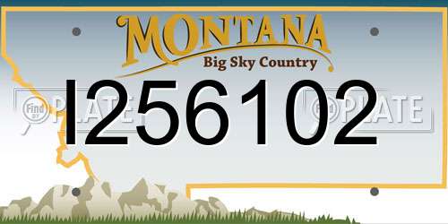 I256102 Montana License Plate