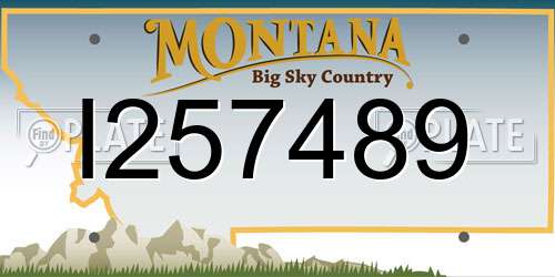 I257489 Montana License Plate