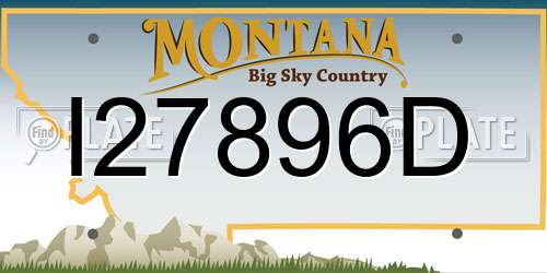 I27896D Montana License Plate