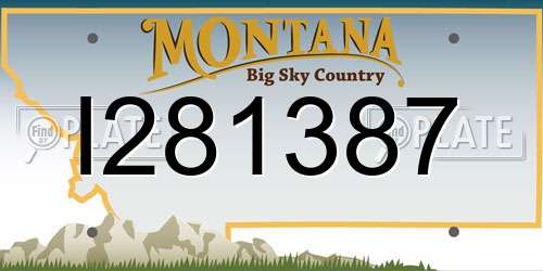 I281387 Montana License Plate