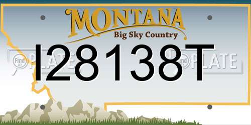 I28138T Montana License Plate