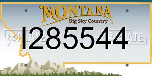 I285544 Montana License Plate