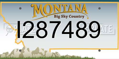 I287489 Montana License Plate