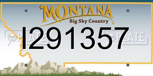 I291357 Montana License Plate