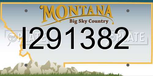 I291382 Montana License Plate