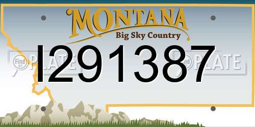 I291387 Montana License Plate