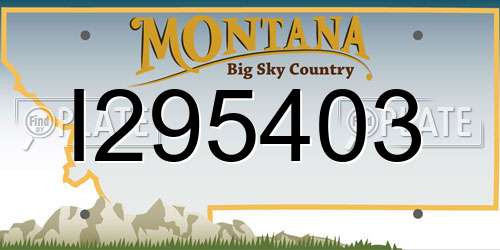 I295403 Montana License Plate