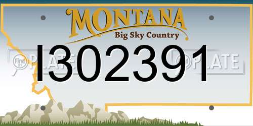I302391 Montana License Plate