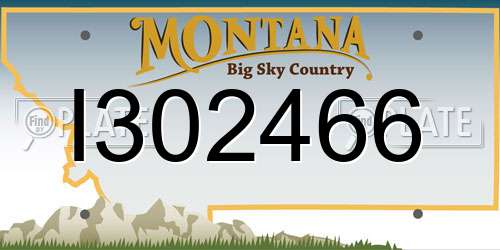 I302466 Montana License Plate