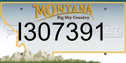 I307391 Montana License Plate
