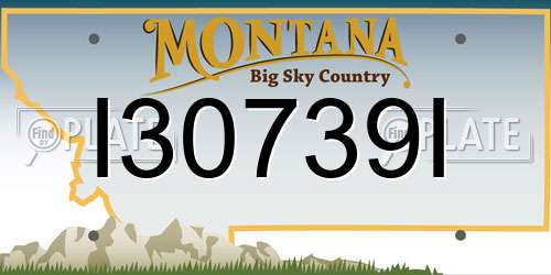 I30739I Montana License Plate