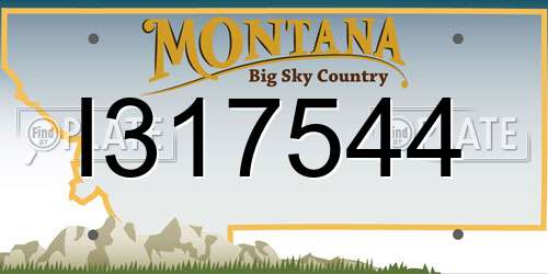 I317544 Montana License Plate