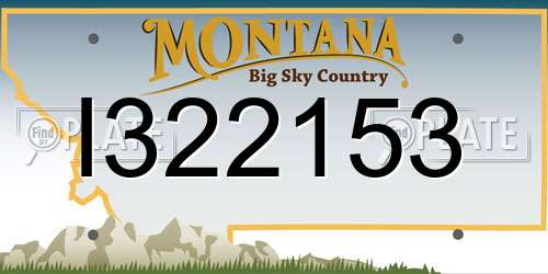 I322153 Montana License Plate