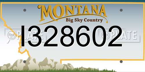 I328602 Montana License Plate