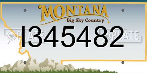 I345482 Montana License Plate