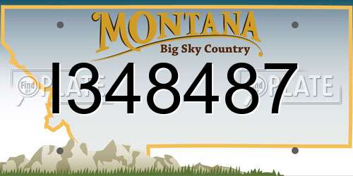 I348487 Montana License Plate