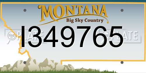 I349765 Montana License Plate
