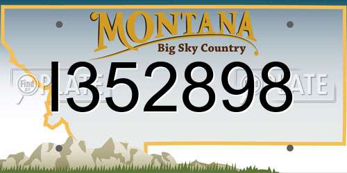 I352898 Montana License Plate